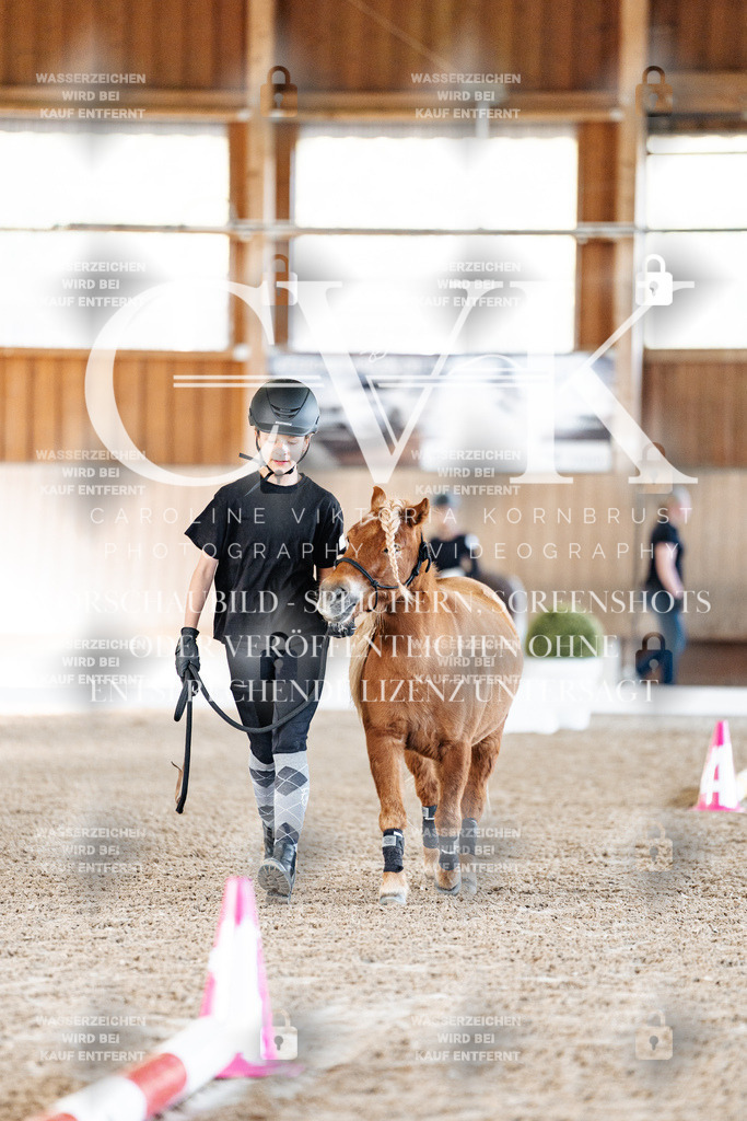 CK905220 | Turnierfotografie Pferdefotografie Trier Rheinland-Pfalz Pferdesport Reitsport Tierfotografie Sportfotografie Pferdevideo Pferdevideografie Equestrianvideography equestrianphotography  - Realisiert mit Pictrs.com