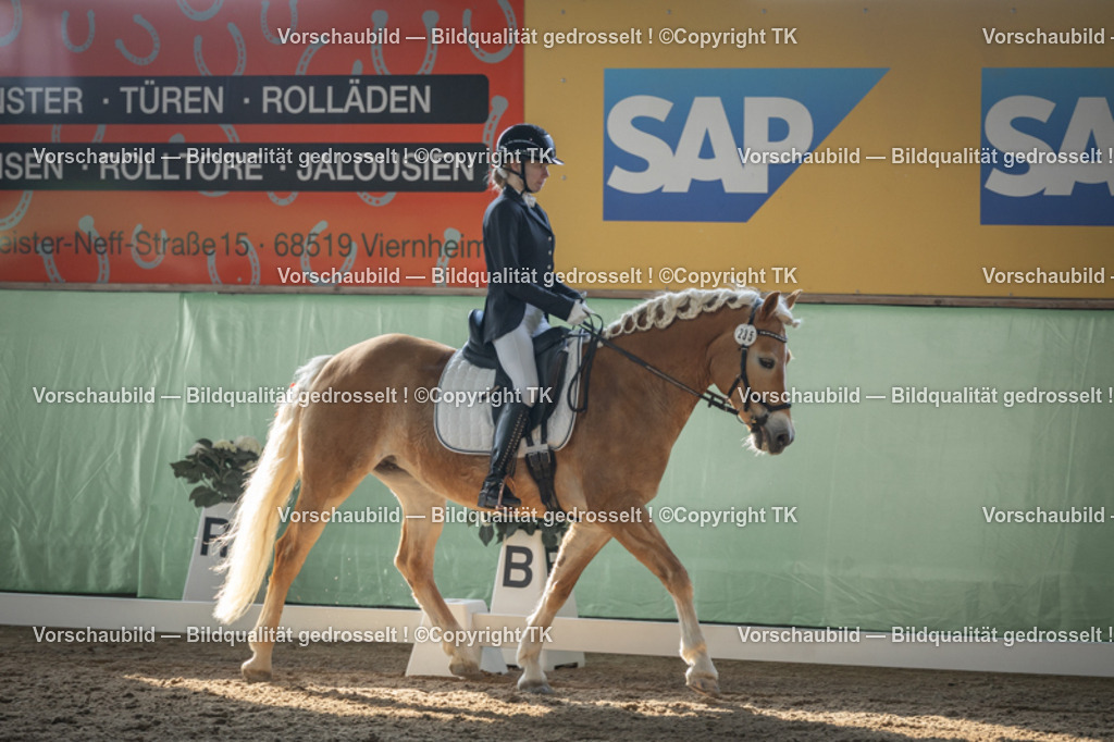 _D5A8289 | Emotionale Pferde- & People-Fotografie rund um Heidelberg, Leimen & Umgebung. Natürliche Fotos von Pferd, Mensch & Familie. Jetzt Termin sichern!