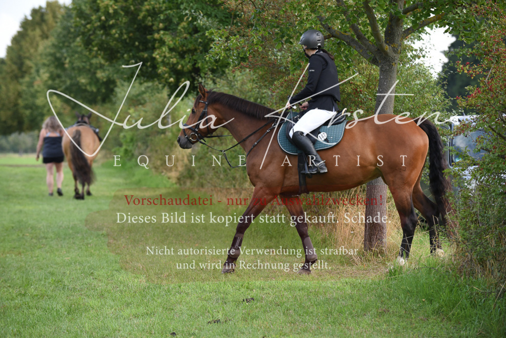 DSC_8600 | Pferde- und Turnierfotografie in Westsachsen. Pferdeportraits, Auftragszeichnungen und intuitive Kunst.