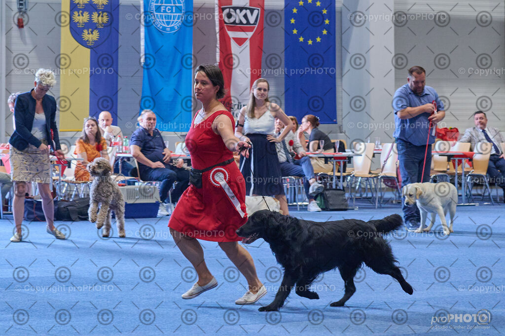 202406_ÖKV-IHA-Tulln24_DSC_5102 | proPHOTO - Realisiert mit Pictrs.com