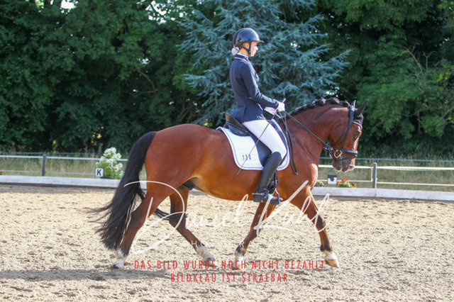 DKP45488 | Turniersportfotografie; Pferdefotografie; Dressurfotografie