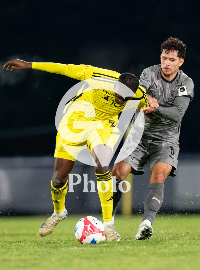 dieci Challenge League - FC Stade Nyonnais v FC Vaduz |  during the dieci Challenge League match between FC Stade Nyonnais and FC Vaduz at Centre sportif de Colovray in Nyon, Switzerland
