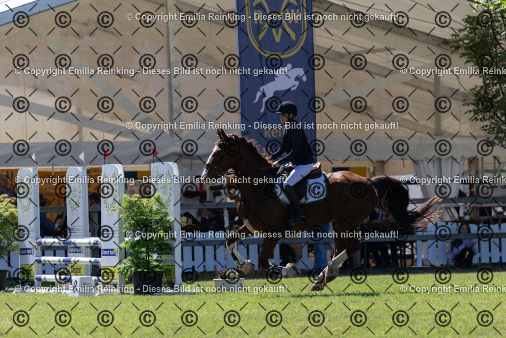 CL5A0917 | Emilia Reinking Fotografie - Realisiert mit Pictrs.com