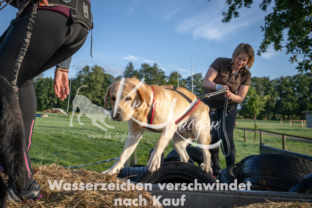 0817_ZZ90840 | kk-dogfotos