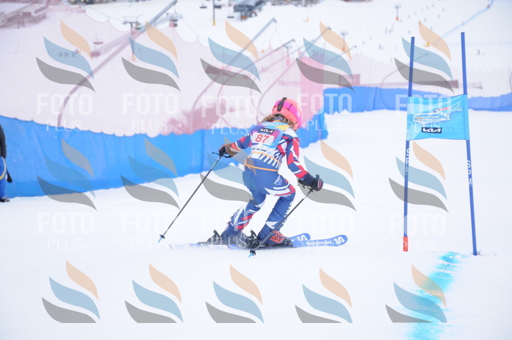 DSC_8220 | holidayphoto