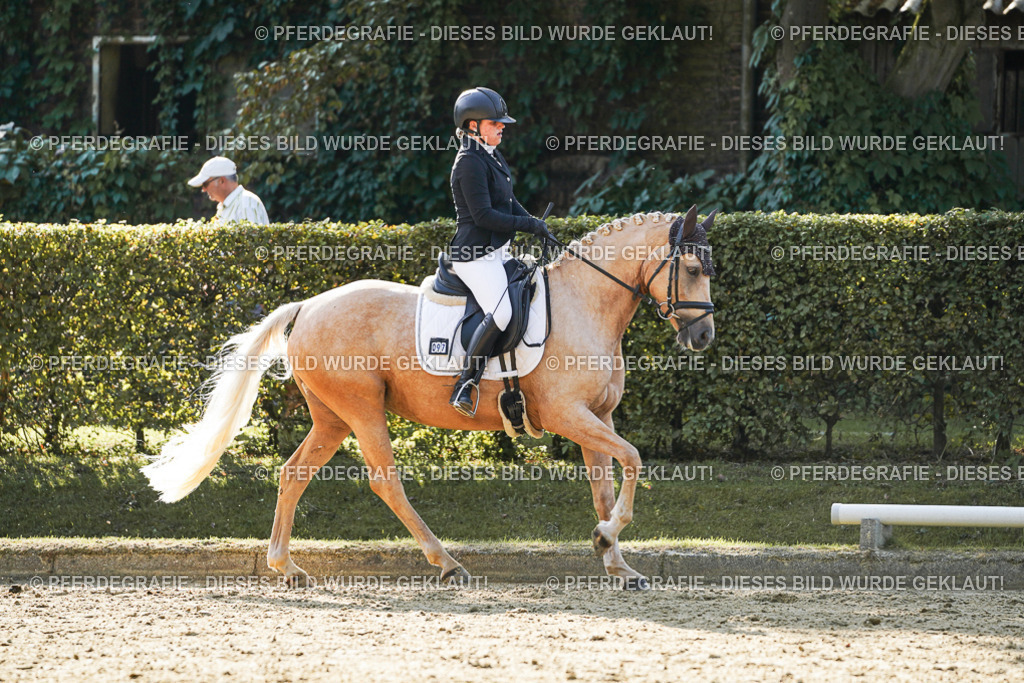 DSC05889 | Pferdegrafie