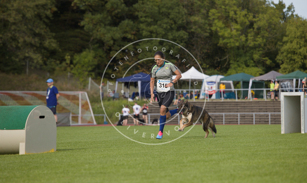 0L8A3749 | Hundefotografie, Tierfotograf, Pfotenfotografie, Fotoshooting Hund, Hunde Portrait, Hundesport, Hundeportraits, Heideshooting, Hunde, Sportfotograf, Hundefotograf, Turnierhundsport, THS,  - Realisiert mit Pictrs.com