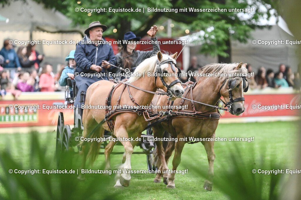 20240517_Lange-Pferdenacht_0066 | Foto: Thomas Hartig