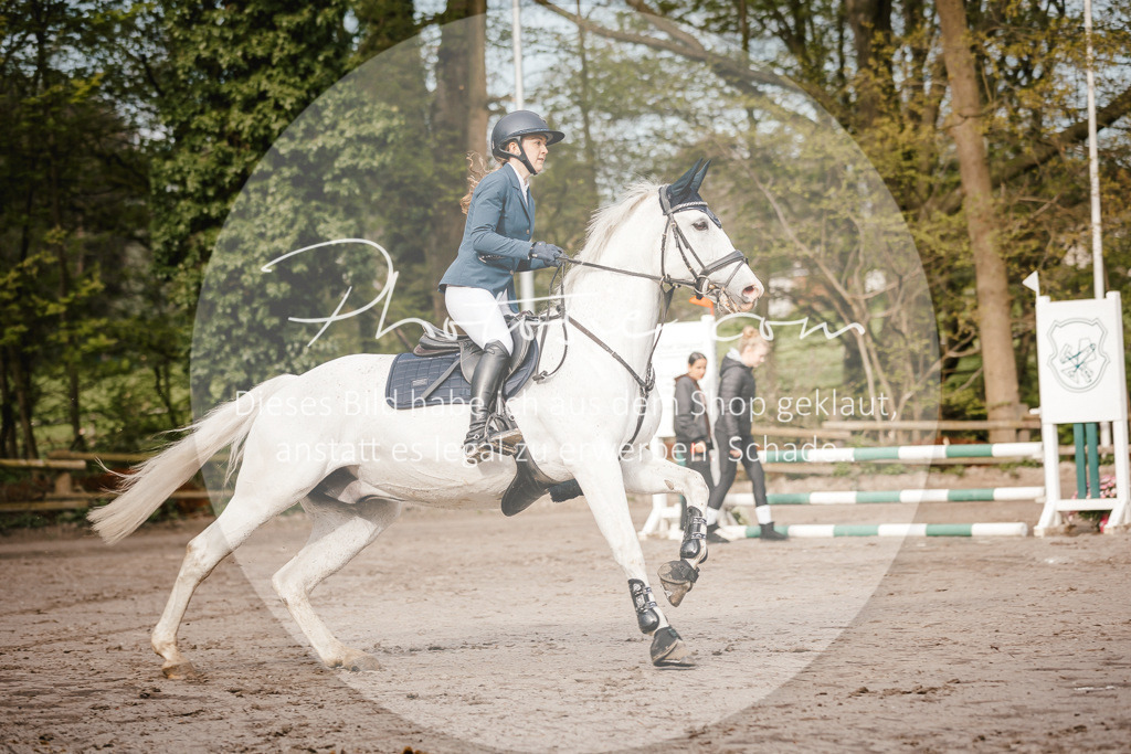 3I6A3271 | Stimmungsvolle Portraits und Reitsportfotografie im Ruhrgebiet und im Münsterland.

Pferdefotografie, Hundefotografie, Tierfotografie, Reportagen, Portraits von Tier und Mensch, Turnierfotografie in Bochum, Recklinghausen, Marl, Haltern am See, Dülmen.. - Realisiert mit Pictrs.com
