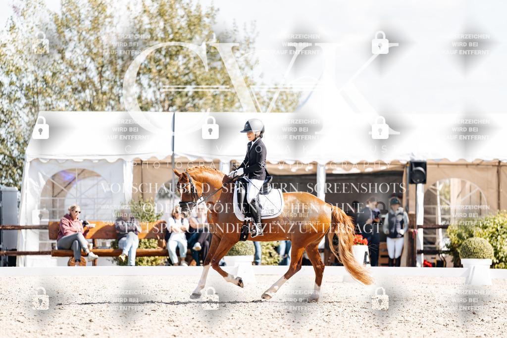 CK903081 | Turnierfotografie Pferdefotografie Trier Rheinland-Pfalz Pferdesport Reitsport Tierfotografie Sportfotografie Pferdevideo Pferdevideografie Equestrianvideography equestrianphotography  - Realisiert mit Pictrs.com