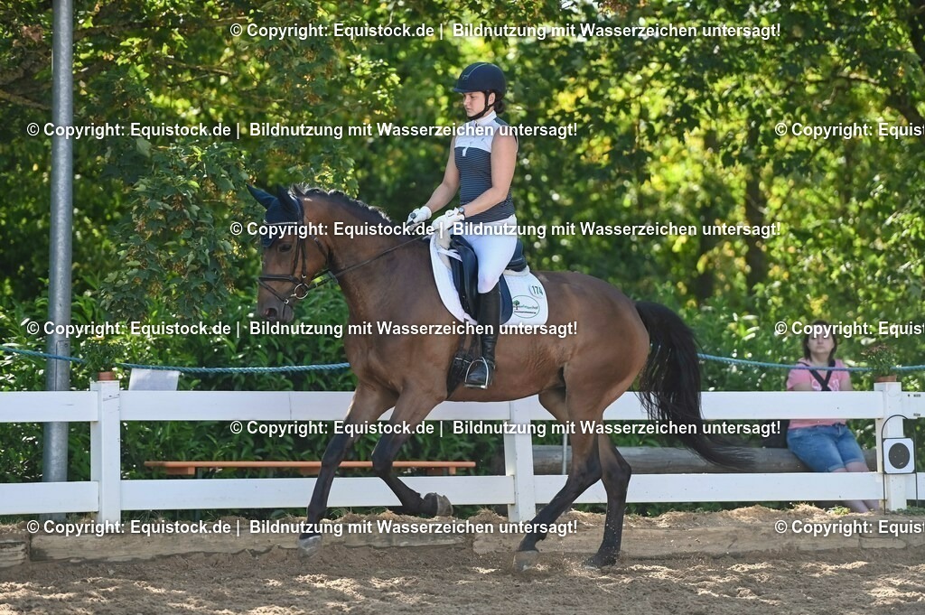 20230715_06_Dressurpferdeprfg. Kl.A_0405 | equistock