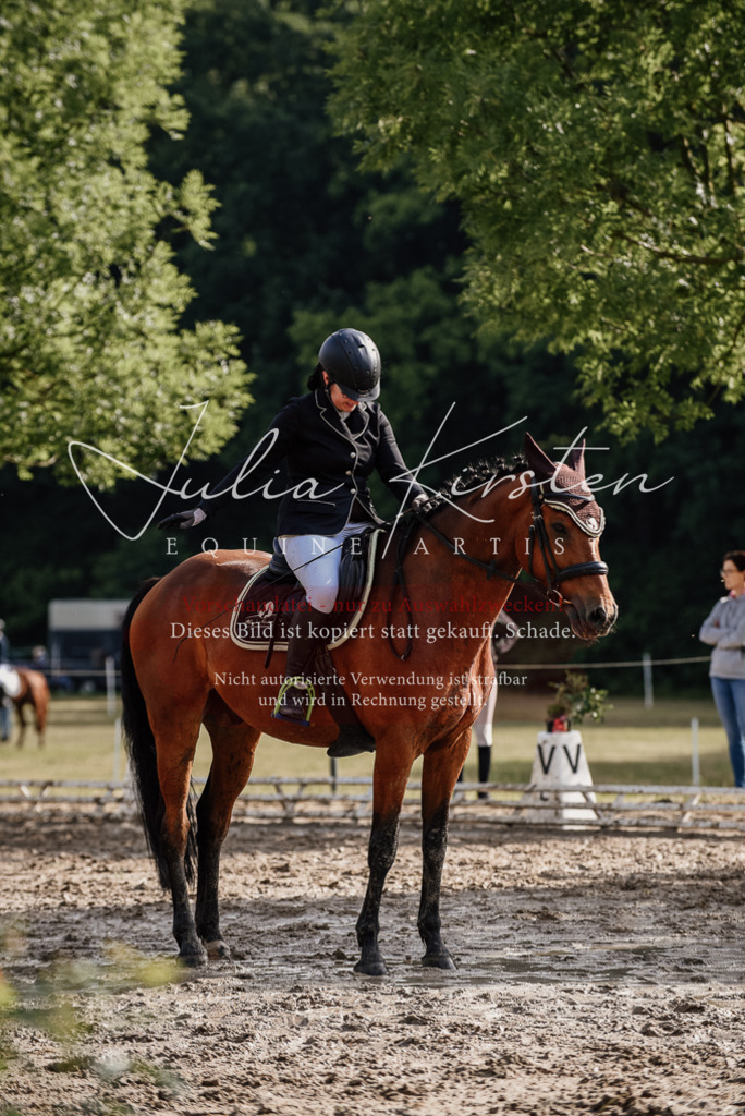 DSC_8538 | Pferde- und Turnierfotografie in Westsachsen. Pferdeportraits, Auftragszeichnungen und intuitive Kunst.