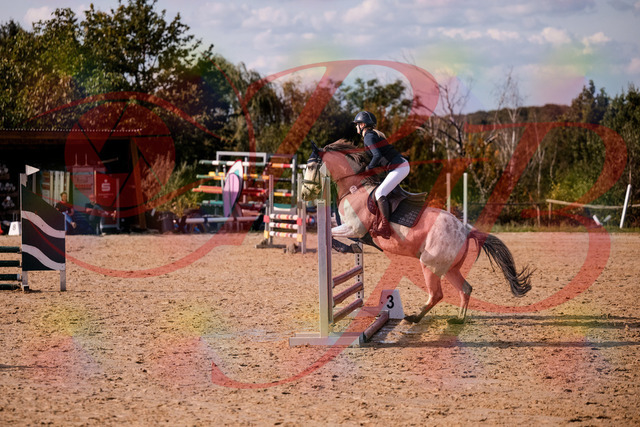 2026_10_03_Siefer-Hof_154508_Z81_63320398 | Professionelle Reitsport-, Turnier- und Eventfotografie von Robert Broda. Galerien mit ausgewählten und bearbeiteten Bildern direkt online ansehen und bestellen.