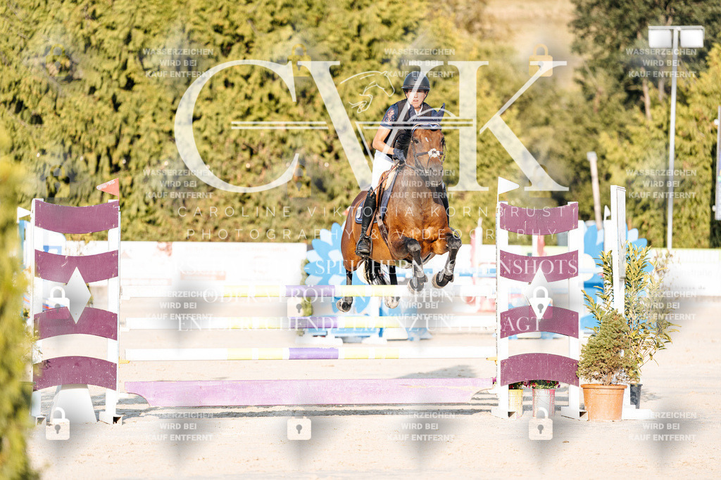 CK900747 | Turnierfotografie Pferdefotografie Trier Rheinland-Pfalz Pferdesport Reitsport Tierfotografie Sportfotografie Pferdevideo Pferdevideografie Equestrianvideography equestrianphotography  - Realisiert mit Pictrs.com