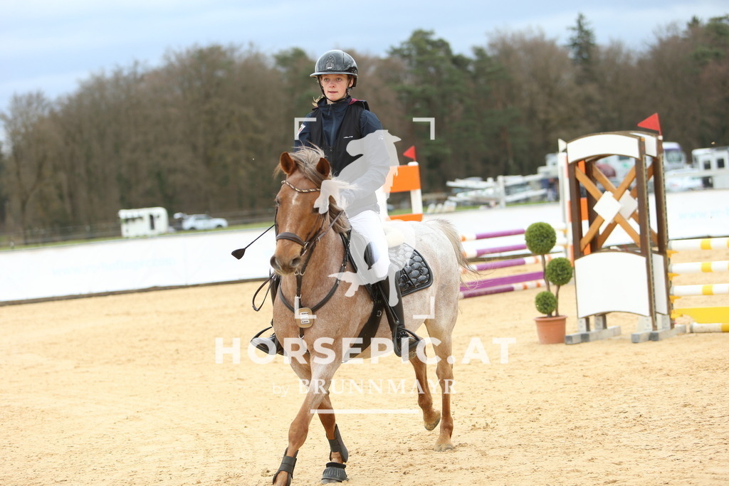 DL2Q1896 | Willkommen bei Brunnmayr - Design & Fotografie – Ihrem Spezialisten für Reitturniere und Pferdeveranstaltungen in Oberösterreich, Salzburg und Bayern! Seit über 17 Jahren sind wir leidenschaftlich dabei.