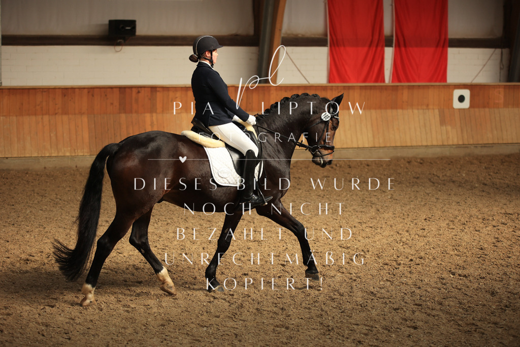 IMGT4629 | pl-fotografie