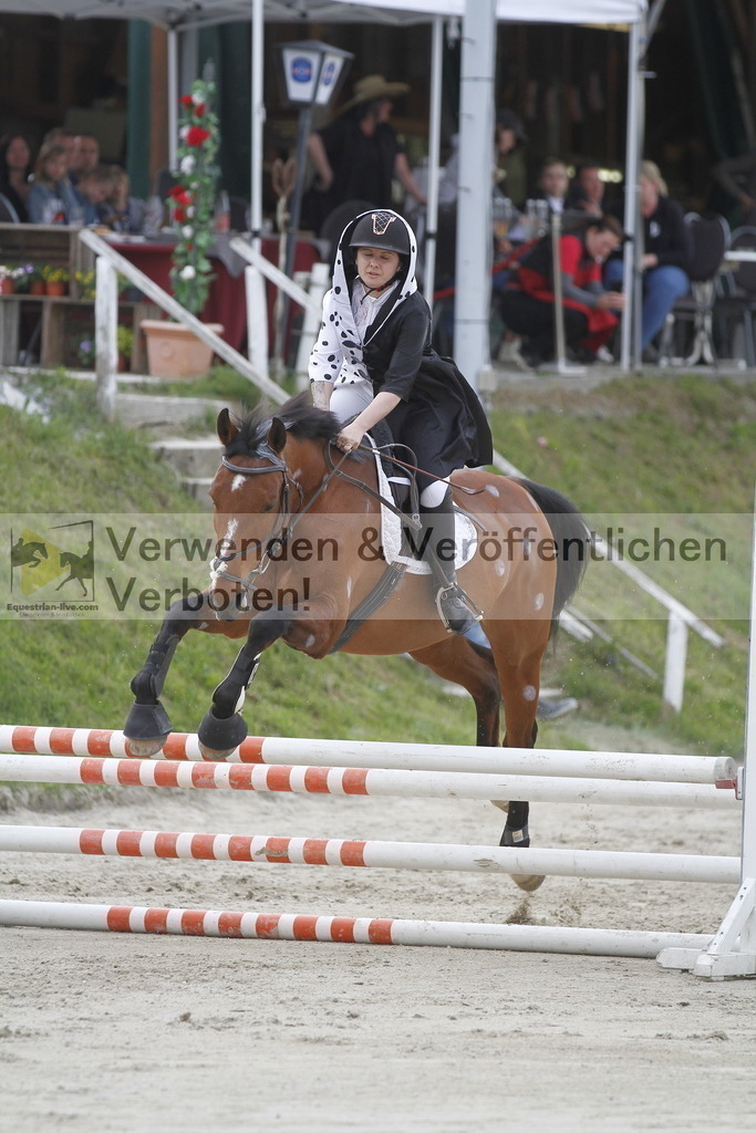 _MG_5464 | equestrian-live-com