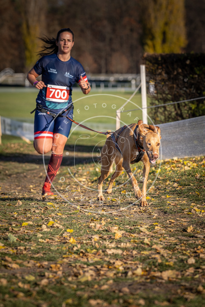 CaniXpix_DV3A1509 | Hundefotografie, Tierfotograf, Pfotenfotografie, Fotoshooting Hund, Hunde Portrait, Hundesport, Hundeportraits, Heideshooting, Hunde, Sportfotograf, Hundefotograf, Turnierhundsport, THS,  - Realisiert mit Pictrs.com