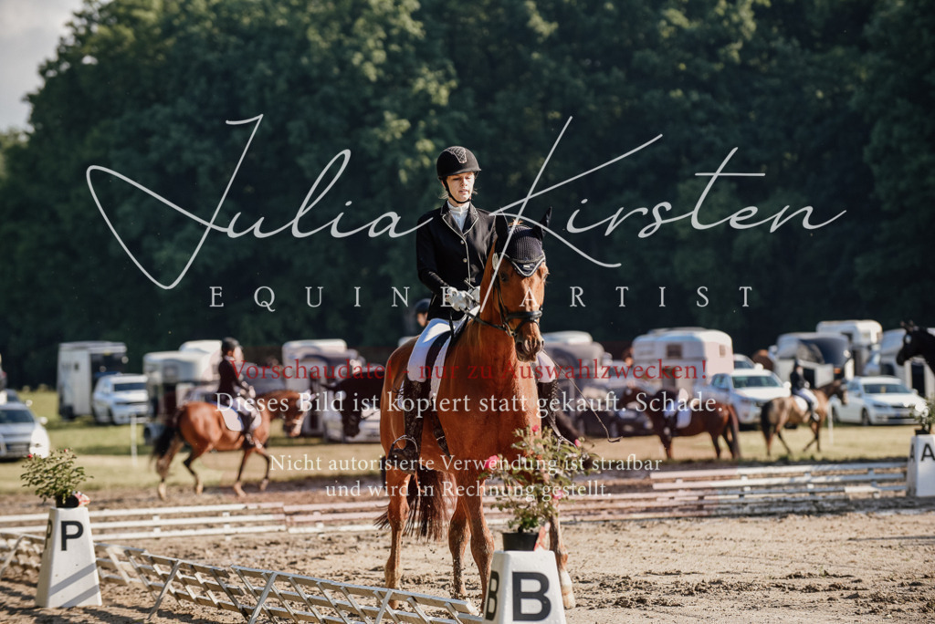 DSC_7741 | Pferde- und Turnierfotografie in Westsachsen. Pferdeportraits, Auftragszeichnungen und intuitive Kunst.