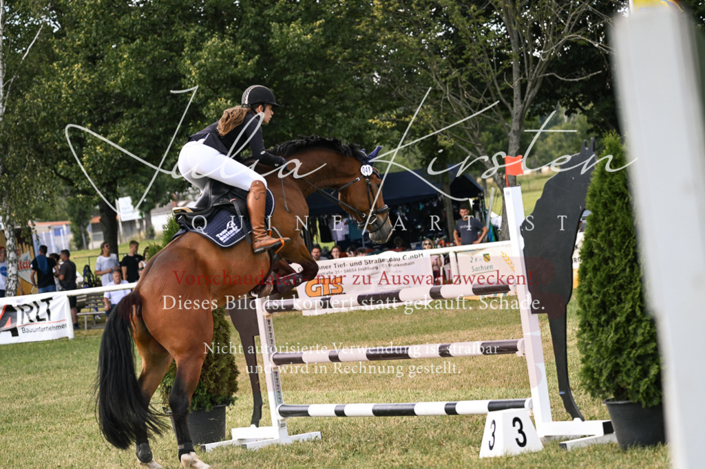 DSC_0897 | Pferde- und Turnierfotografie in Westsachsen. Pferdeportraits, Auftragszeichnungen und intuitive Kunst.
