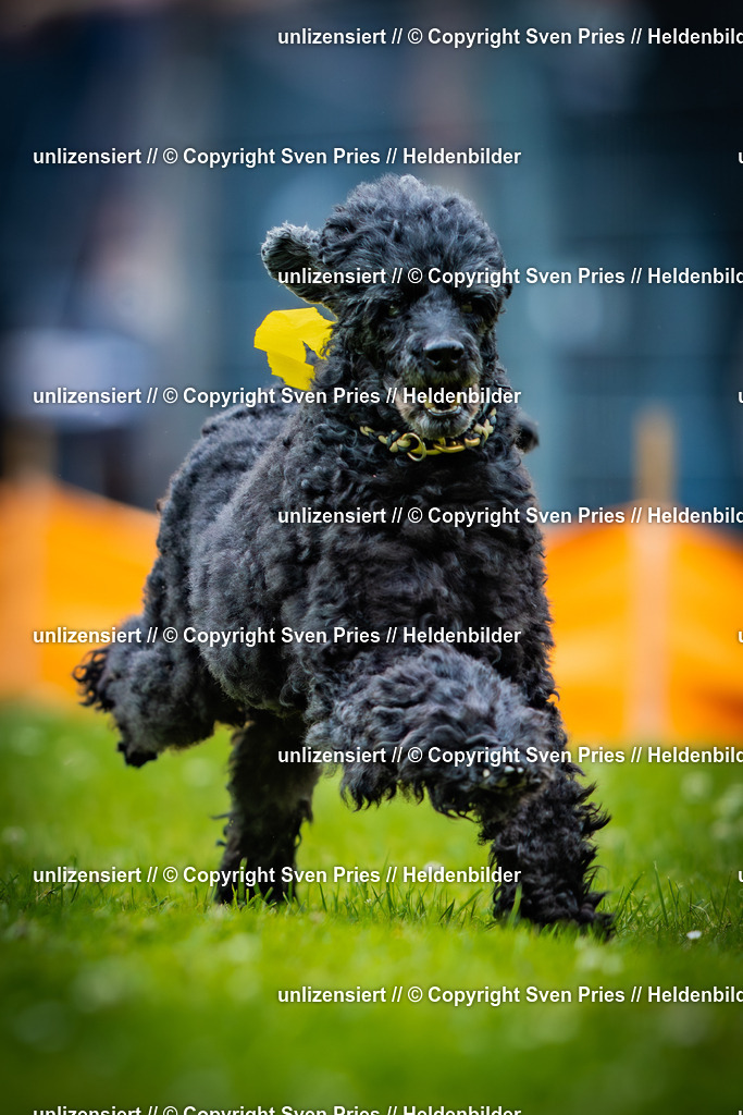 Sven Pries | 2025-05-29 - Pudelrennen KA-Durlach - Realisiert mit Pictrs.com