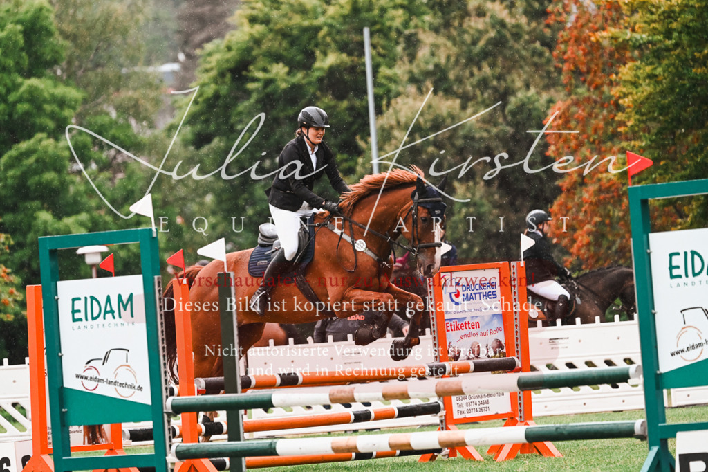 DSC_6437 | Pferde- und Turnierfotografie in Westsachsen. Pferdeportraits, Auftragszeichnungen und intuitive Kunst.