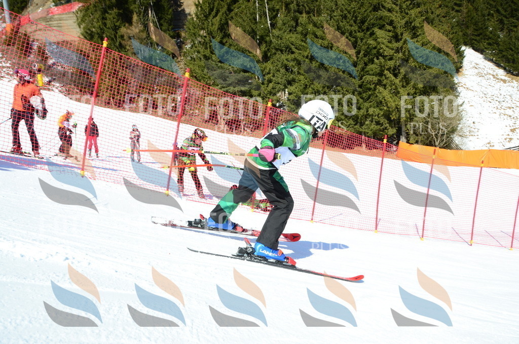 C5482 | holidayphoto