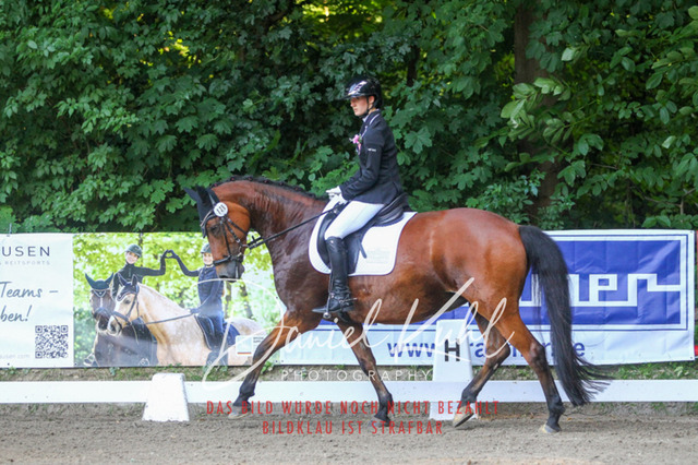 DKP43065 | Turniersportfotografie; Pferdefotografie; Dressurfotografie