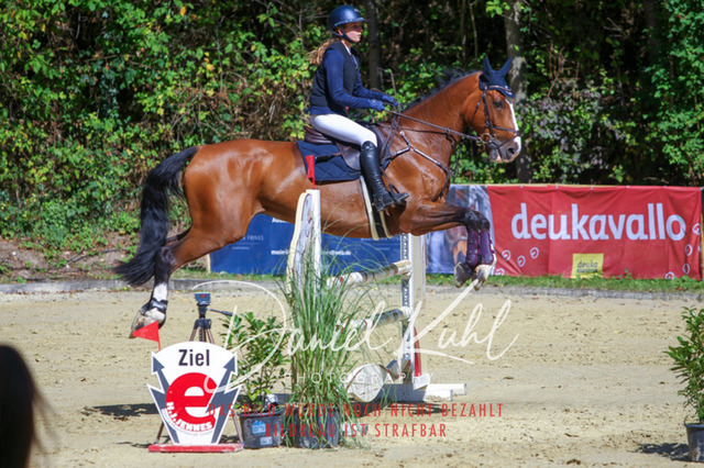 DKP43207 | Deine Turnierfotos vom Reitturnier online kaufen: Dressur, Springen & Siegerehrung. Professionelle Pferdefotografie aus dem Rheinland – als Download & Print.Alternative: Turnierfotograf für den Pferdesport: Finde deine Fotos von Dressur- und Springturnier