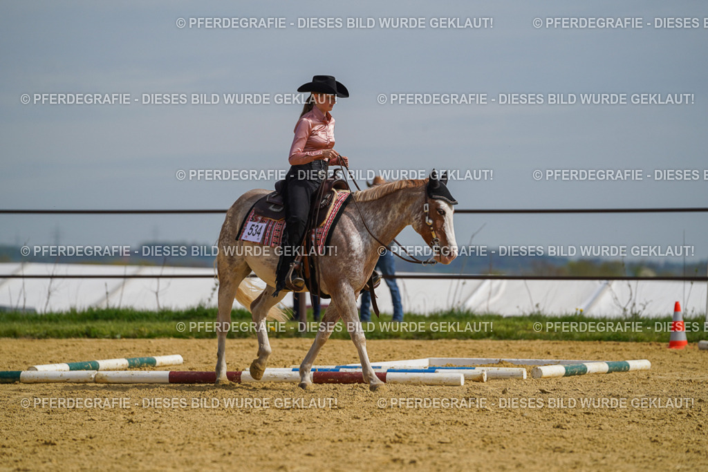 DSC04156 | Pferdegrafie