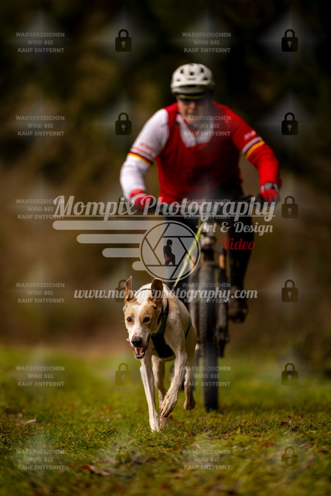 MompixPhotography_2SSTSSBW_2025_SO_Bike-52 | PayLife