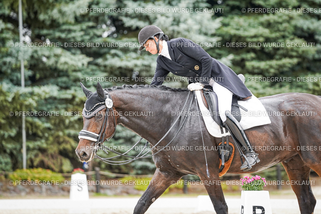 DSC06837 | Pferdegrafie