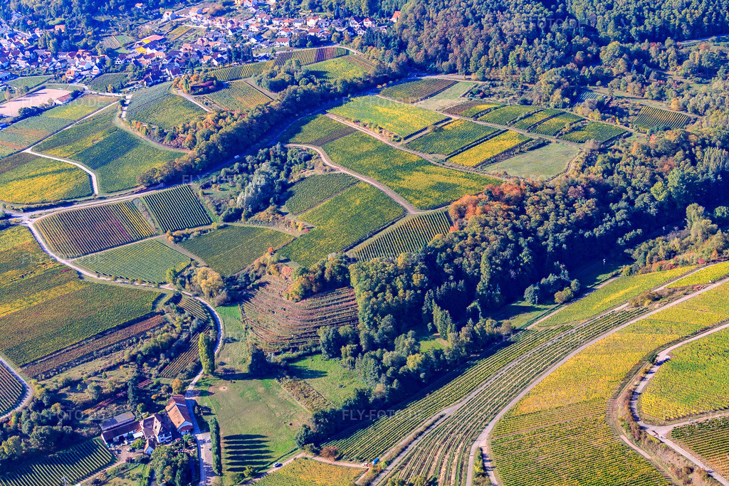 Luftbild: Modenbachtal und Burrweiler Mühle in Burrweiler im Bundesland Rheinland-Pfalz in Deutschland. Foto: IMG_22203.jpg vom 15.10.2009 durch Werner Riehm/FLY-FOTO.de