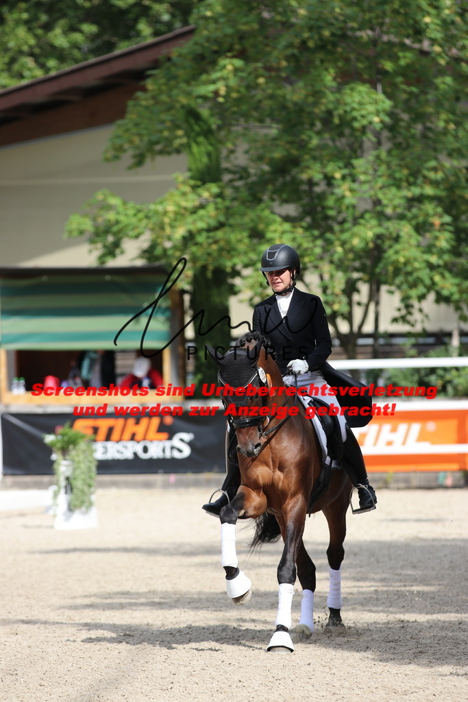 IMG_1346 | lmwpictures - Realisiert mit Pictrs.com