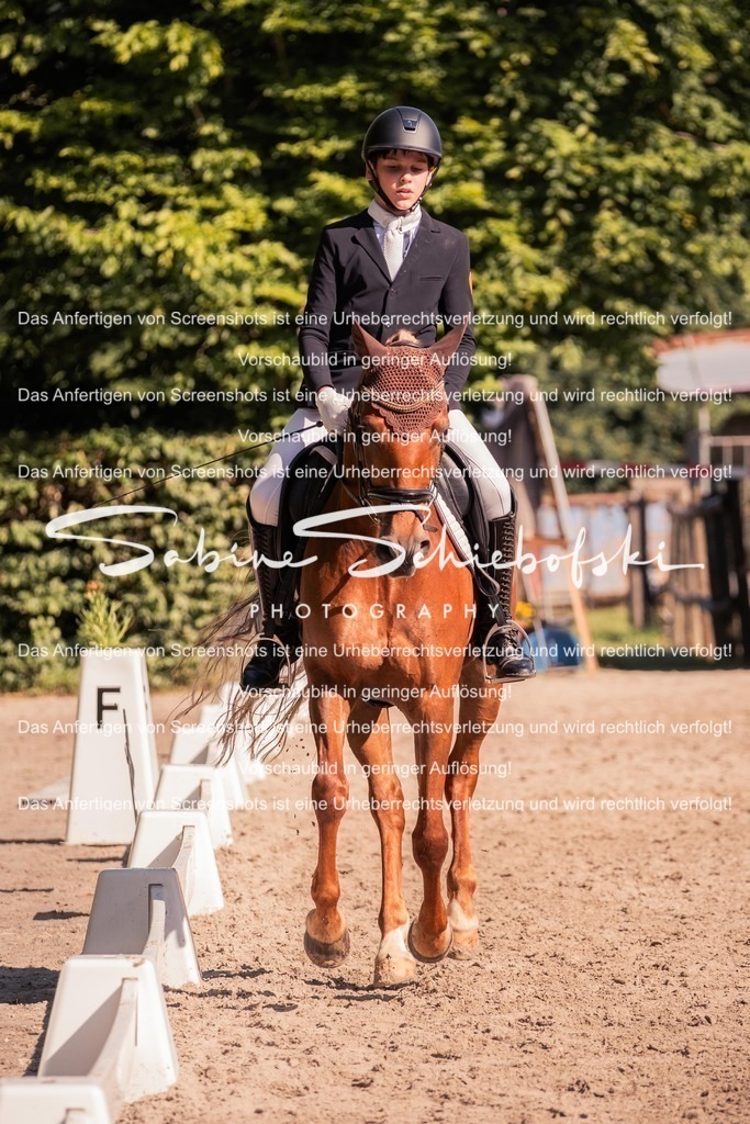 2025_05_31_DSCF2967 | People- und Tierfotografie, Imageaufnahmen, Veranstaltungsfotografie und Wandbilder aus der Natur ★ Made in Germany ✔️ Druck + Downloads ✔️ Naturfotografie in Top Qualität ★ schneller Versand, weltweite Lieferung! - Realisiert mit Pictrs.com