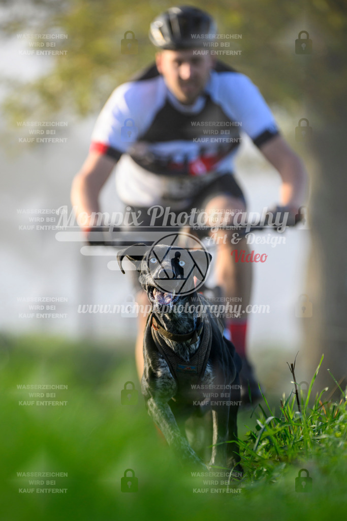 MompixPhotography_20TSB_E3_Bike-85 | PayLife