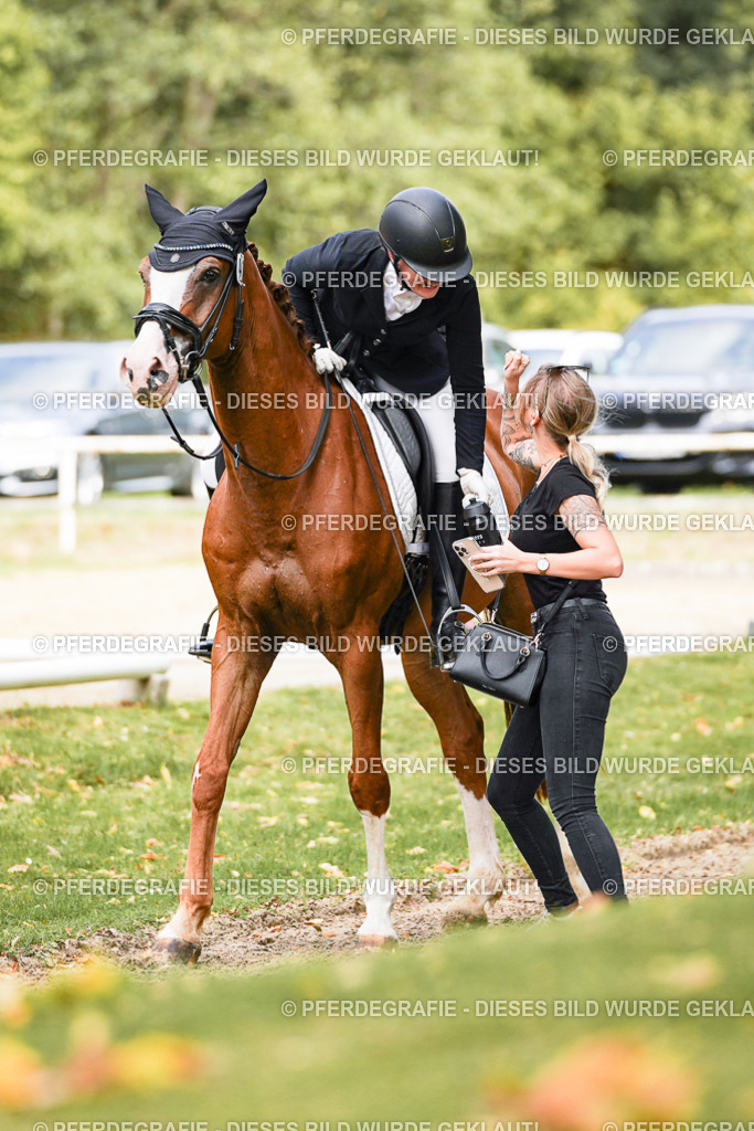 DSC03346 | Pferdegrafie