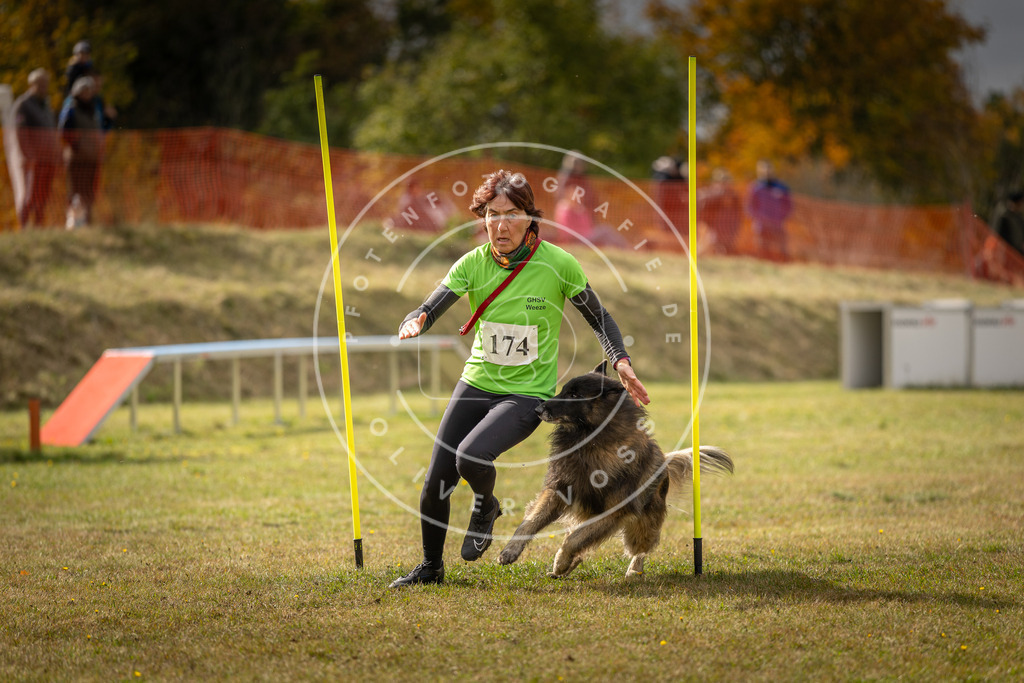 Pfotenfotografie_DV3A5851 | Hundefotografie, Tierfotograf, Pfotenfotografie, Fotoshooting Hund, Hunde Portrait, Hundesport, Hundeportraits, Heideshooting, Hunde, Sportfotograf, Hundefotograf, Turnierhundsport, THS,  - Realisiert mit Pictrs.com