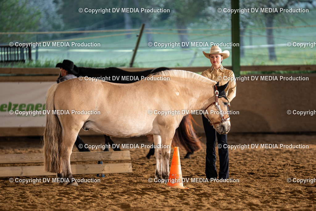 Balingen Tag 1-128 | dv-media-shop - Realisiert mit Pictrs.com