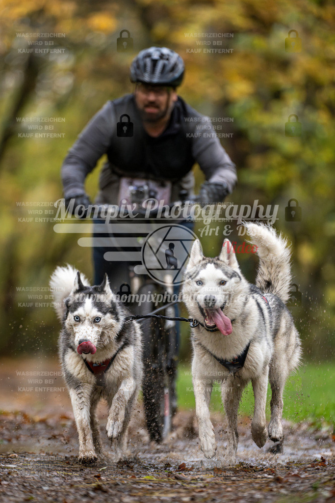 MompixPhotography_Bischwiller23_DS2-29 | mompixphotography