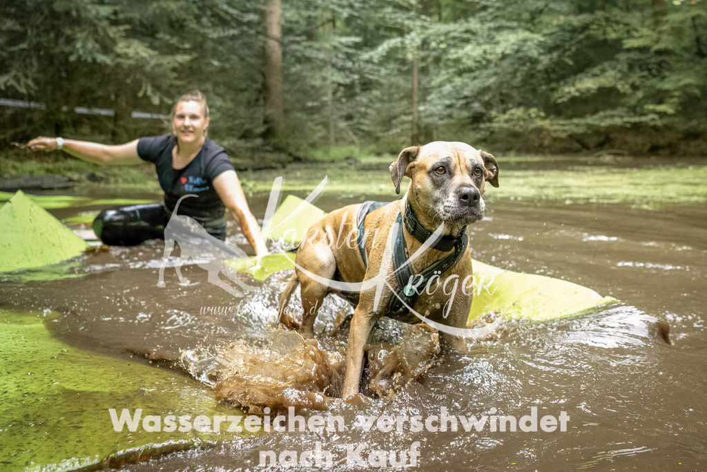 1430_ZZ92639-Bearbeitet | kk-dogfotos