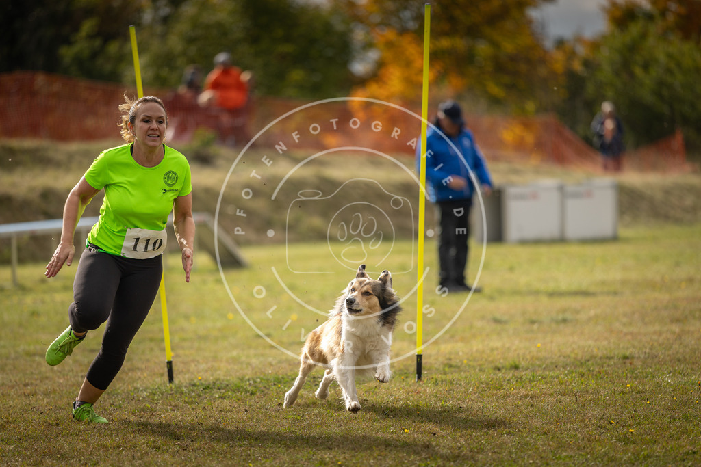 Pfotenfotografie_DV3A7193 | Hundefotografie, Tierfotograf, Pfotenfotografie, Fotoshooting Hund, Hunde Portrait, Hundesport, Hundeportraits, Heideshooting, Hunde, Sportfotograf, Hundefotograf, Turnierhundsport, THS,  - Realisiert mit Pictrs.com