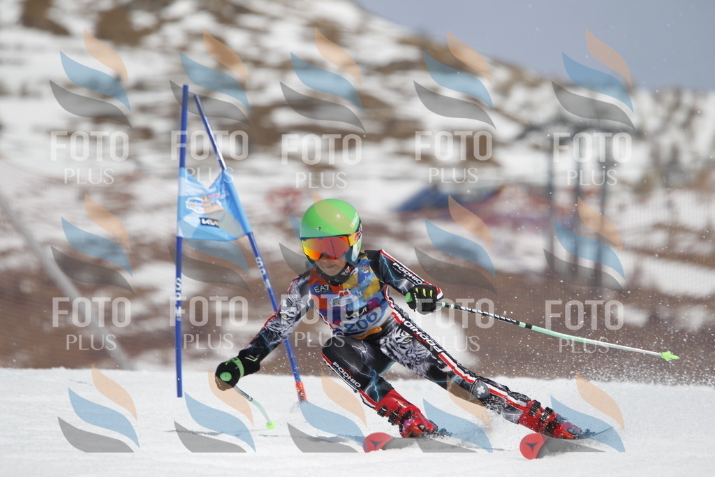 _U3G2149 | holidayphoto