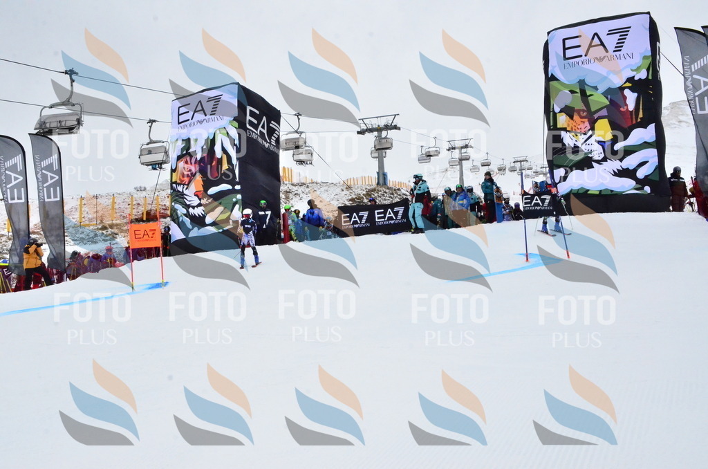 _ELE3080 | holidayphoto