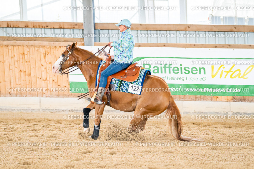 DSC04953 | Pferdegrafie