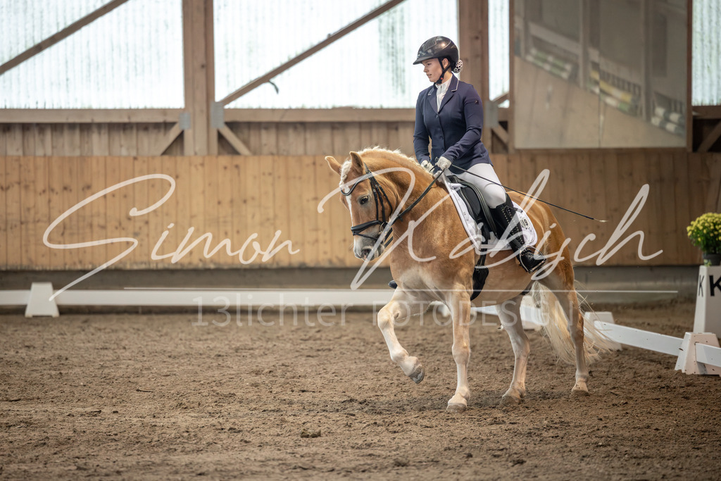 20251011-_3LI6601 | Tierfotografie Pferde, Hunde, Katzen, Haustiere.
Turnierfotografie Reitturniere, Reiten, Springreiten, Dressur in Hanau, dem Main-Kinzig-Kreis und dem Rhein-Main- Gebiet um Frankfurt