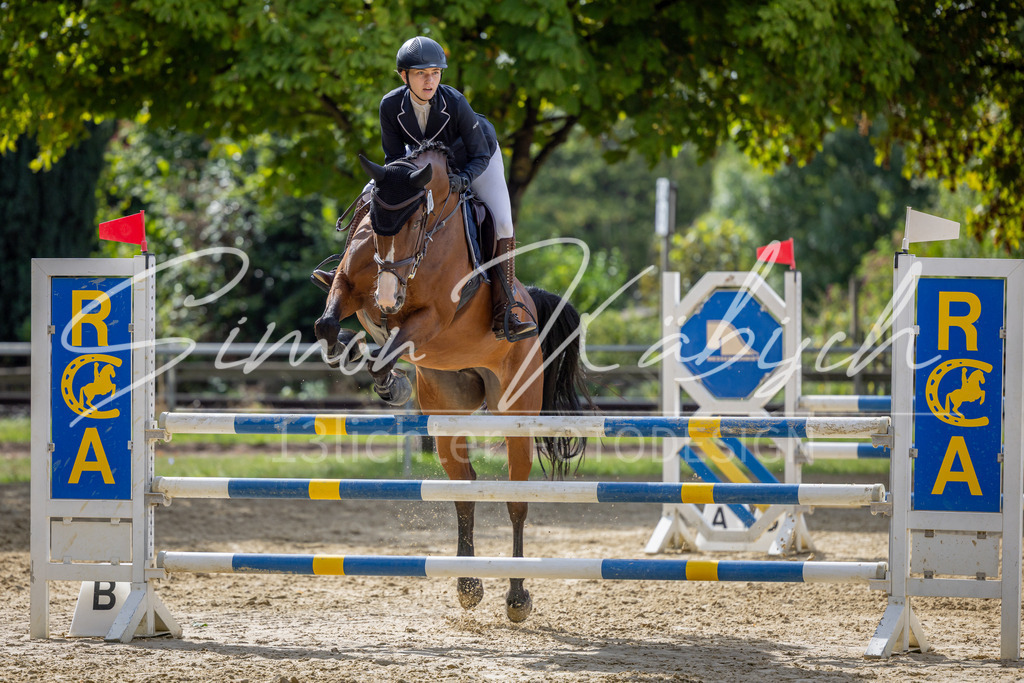 20260905-_3LI7483 | Tierfotografie Pferde, Hunde, Katzen, Haustiere.
Turnierfotografie Reitturniere, Reiten, Springreiten, Dressur in Hanau, dem Main-Kinzig-Kreis und dem Rhein-Main- Gebiet um Frankfurt