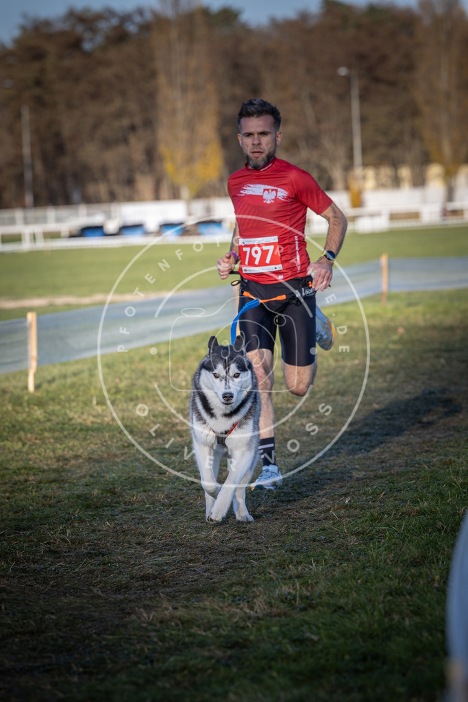 CaniXpix_DV3A2881 | Hundefotografie, Tierfotograf, Pfotenfotografie, Fotoshooting Hund, Hunde Portrait, Hundesport, Hundeportraits, Heideshooting, Hunde, Sportfotograf, Hundefotograf, Turnierhundsport, THS,  - Realisiert mit Pictrs.com