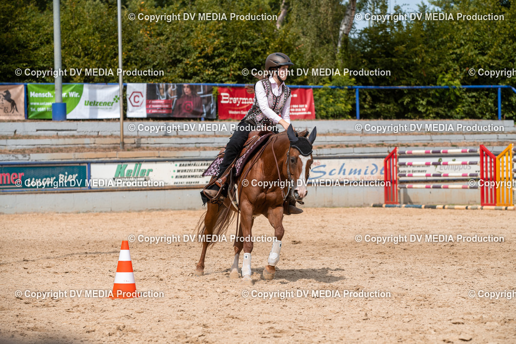 EWP_6069 | dv-media-shop - Realisiert mit Pictrs.com