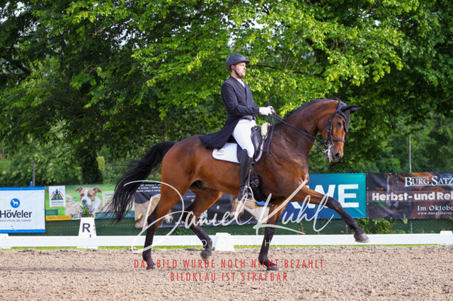 DKP41753 | Turnierfotos kaufen im Webshop von Daniel Kuhl Photography – entdecke professionelle Reitsportfotos aus Turnieren & Events. Hochwertige Turnierbilder online bestellen & sichern. Jetzt Fotos von Reitsportturnieren kaufen!